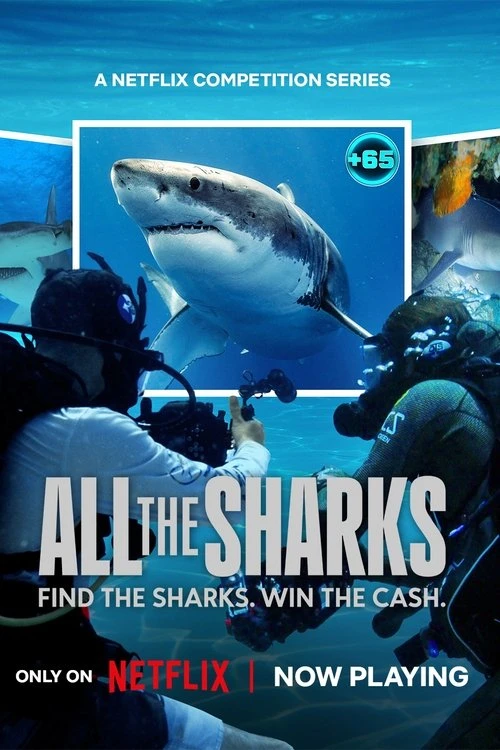 Đi Tìm Cá Mập | All The Sharks (2025)