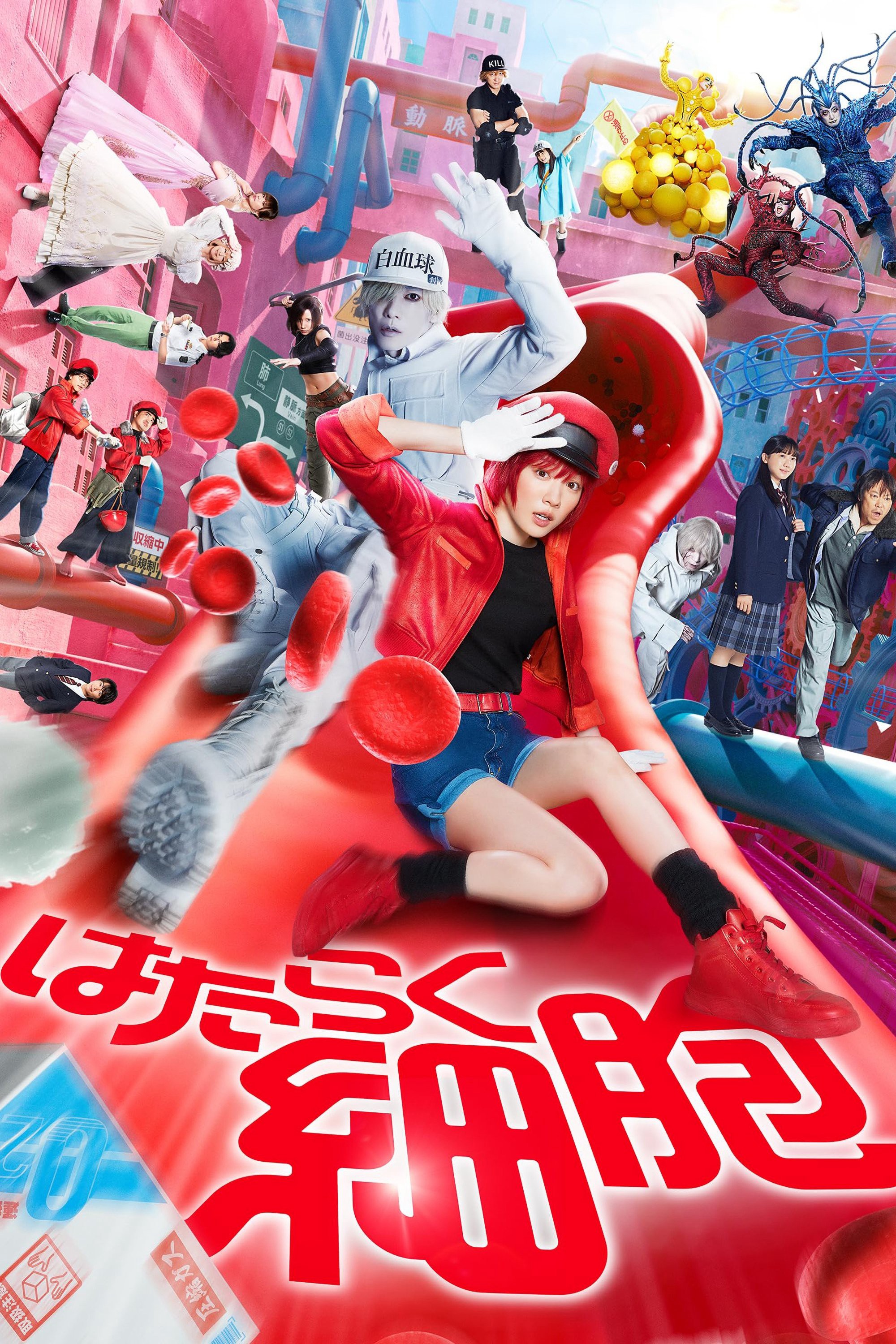 Khi Tế Bào Làm Việc | Cells at Work! (2024)