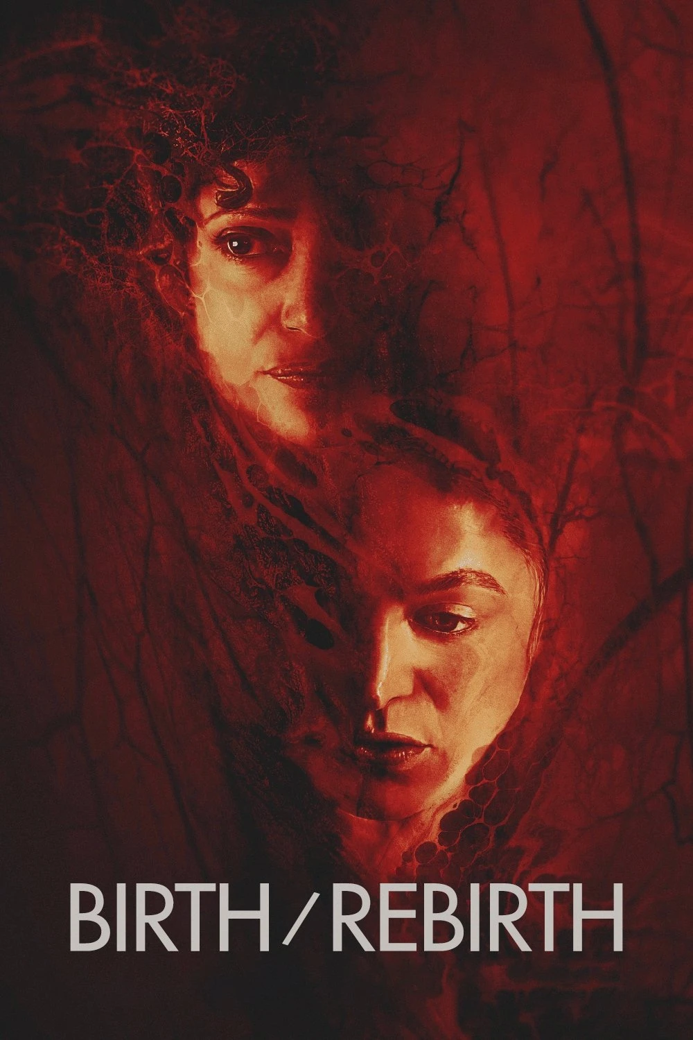Sinh/Tái Sinh | Birth/Rebirth (2023)
